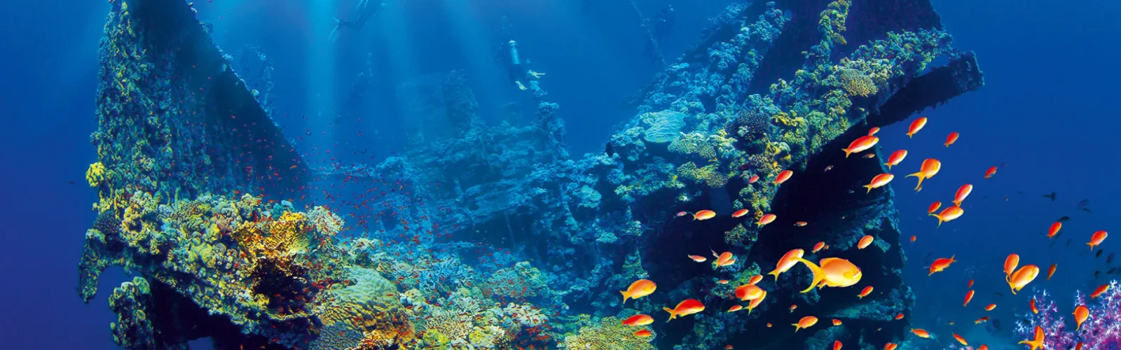  Best 10 Diving and Snorkeling Places in Jeddah & Nearby
