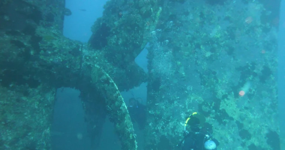 Best 10 Diving and Snorkeling Places in Jeddah & Nearby