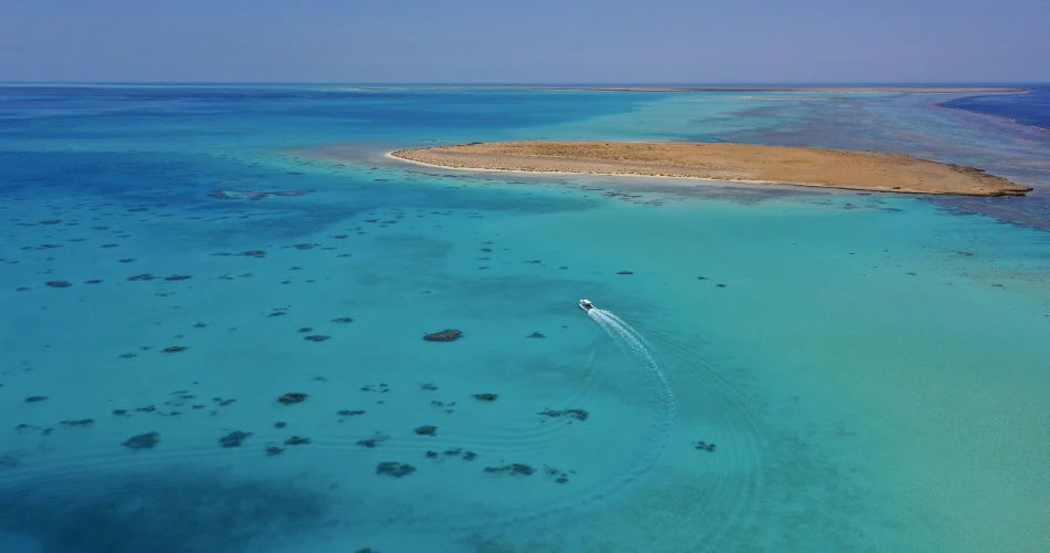 Best 10 Diving and Snorkeling Places in Jeddah & Nearby