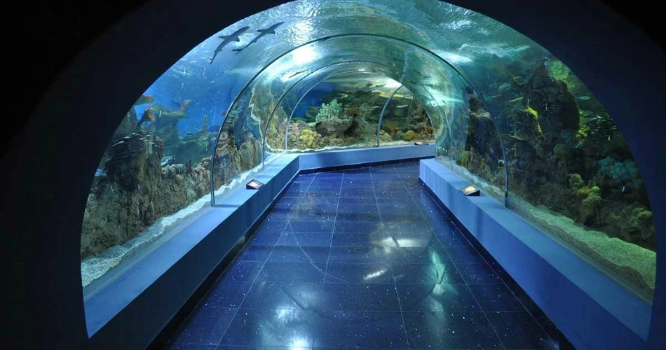 Best 10 Diving and Snorkeling Places in Jeddah & Nearby