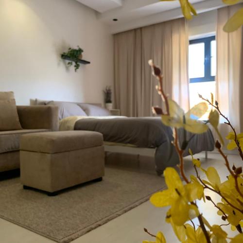 Studio 01 by Sukon - Central Jeddah Jeddah 