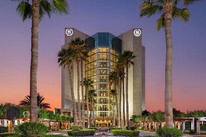 Sheraton Jeddah Hotel - image 12