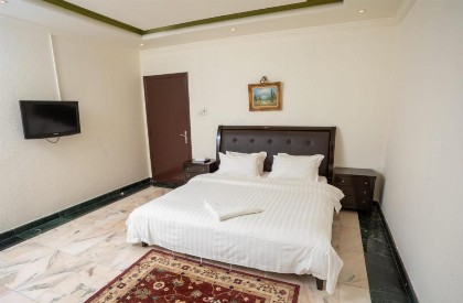 Delmon Hotel Suites - image 2