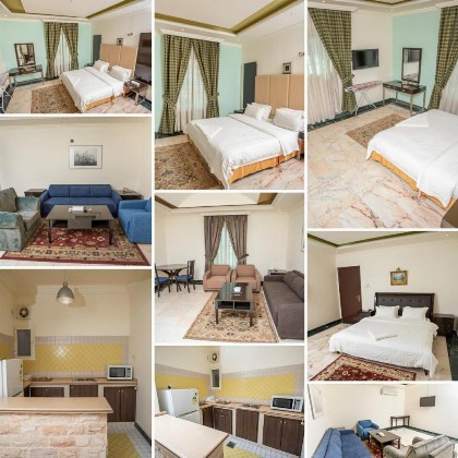 Delmon Hotel Suites - image 3