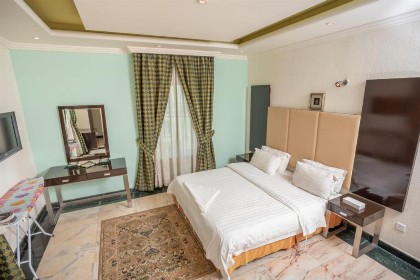 Delmon Hotel Suites - image 8