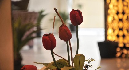 Sama Park Hotel - image 15