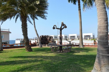 Al Murjan Beach Resort - image 16
