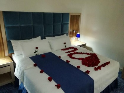Swiss Blue Hotel - image 1