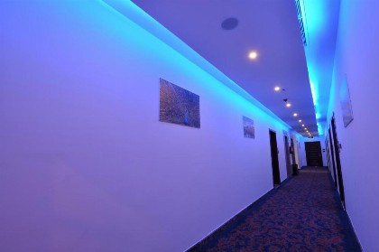Rozaio Hotel - image 12