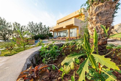 Tal Al-Jude Villa - image 7