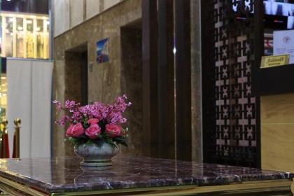 فندق درة الرؤية - image 7