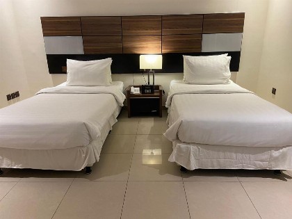 Friesian Hotel Suites - image 4
