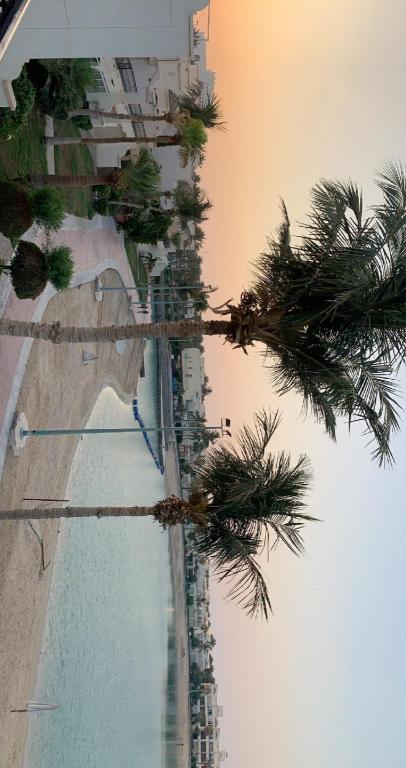 Durrah Beach ☀️  - image 4