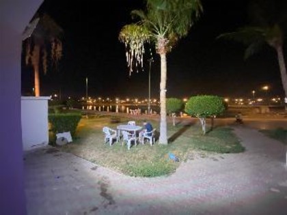 Durrat alarous  - image 16