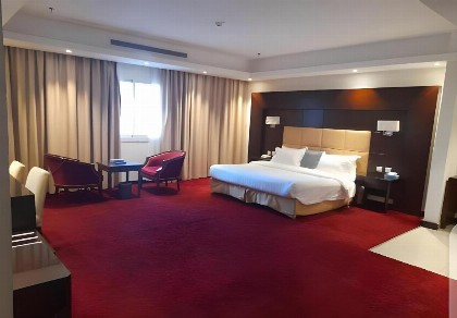 Arjan Suits Hotel  - image 5
