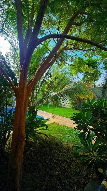 Valley Villa - image 3