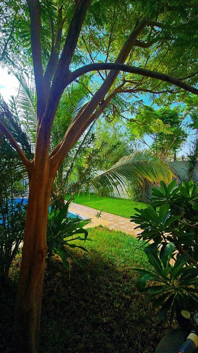 Valley Villa - image 3