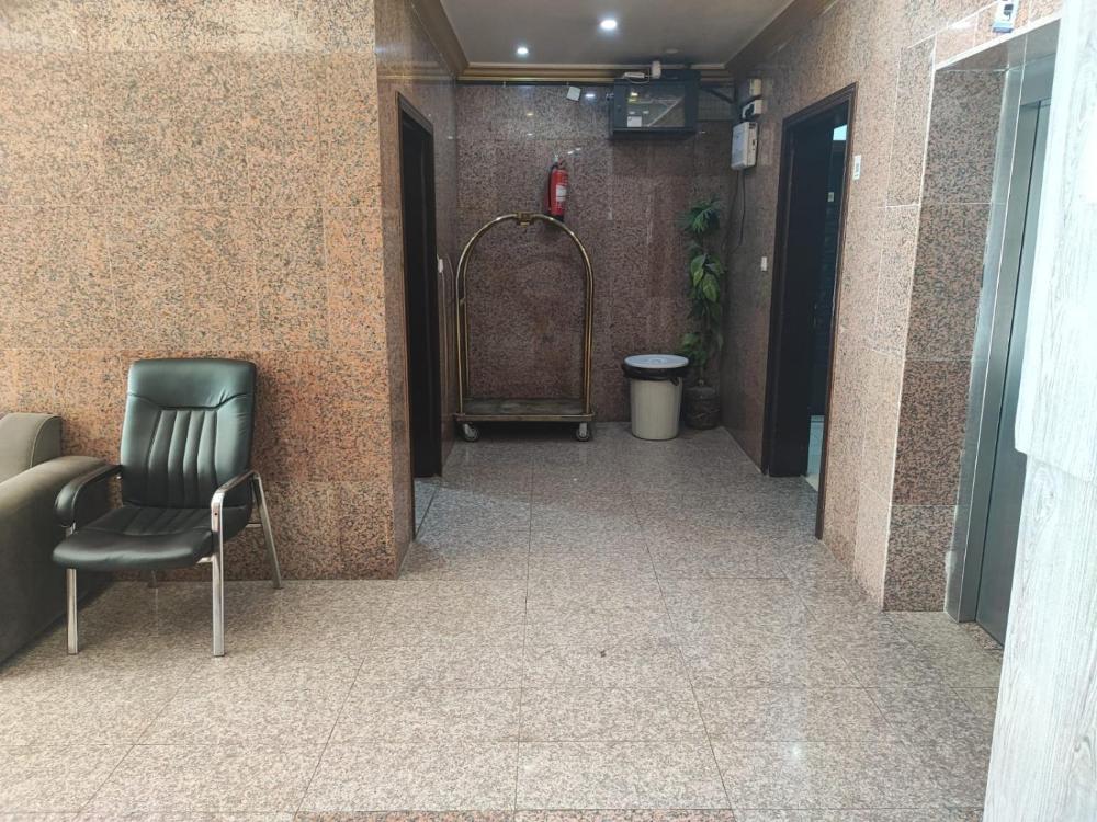 كنان السامر - image 5