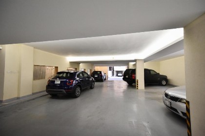Dream Palace 105 - image 16