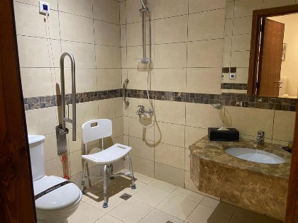 Friesian Hotel Suites - image 16