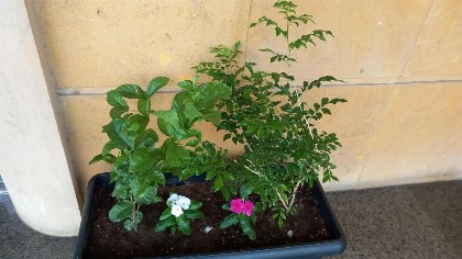 يودل للشقق المخدومة - image 19