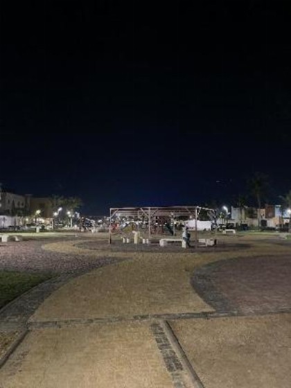 Beach House  - image 12