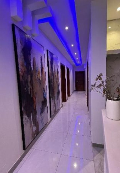 Luxury Apartment  - image 2