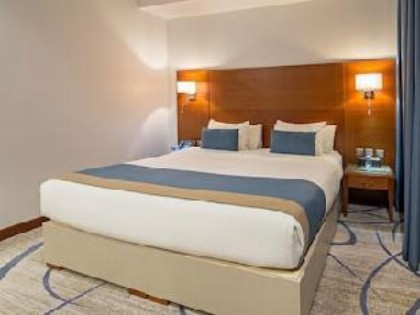 SAS JIWAR DIAMOND HOTEL - image 2