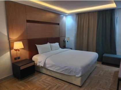 Mera Park Hotel - image 3