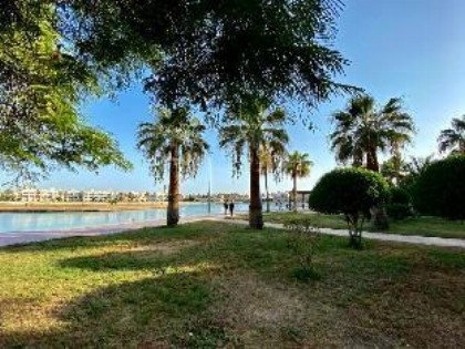 شمس الحالمة - DurraSun - image 10