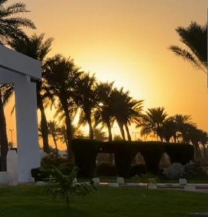 شمس الحالمة - DurraSun - image 13
