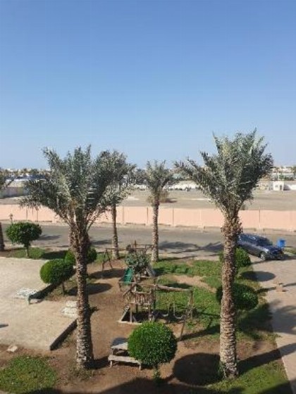 شمس الحالمة - DurraSun - image 5