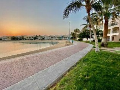 شمس الحالمة - DurraSun - image 7
