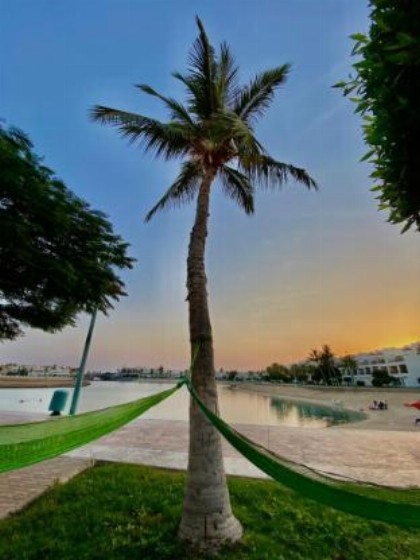 شمس الحالمة - DurraSun - image 8