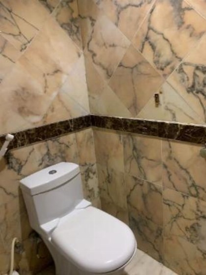 جاليرى هاوس  - image 3