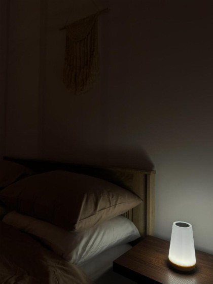 Comfy Bohemian room Smart Self Check in - image 9