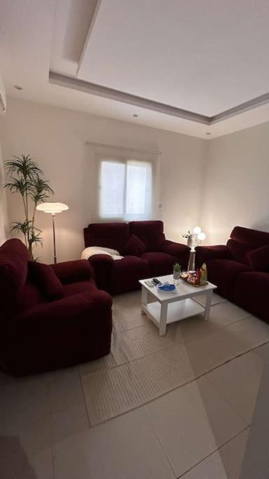شقة صالة وغرفة نوم - main image