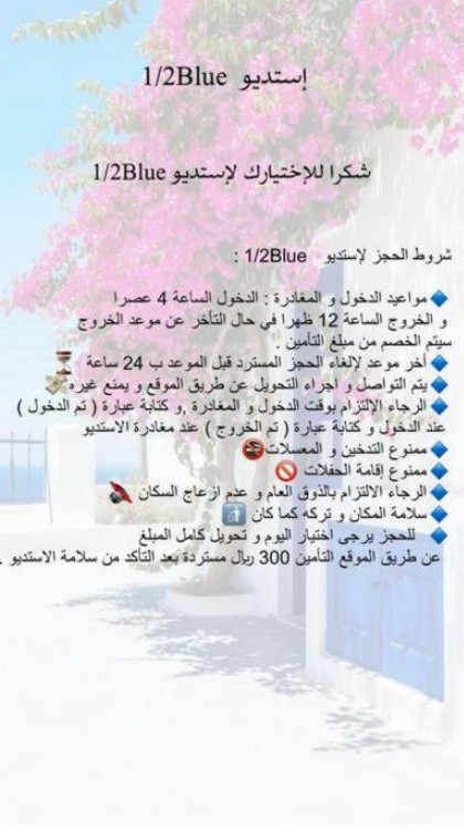 إستيديو هاف بلو - image 16