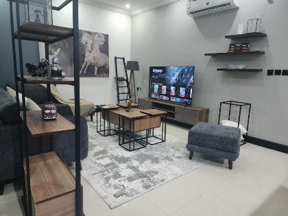 Luxury apartment with 2 bedrooms & living room - image 6