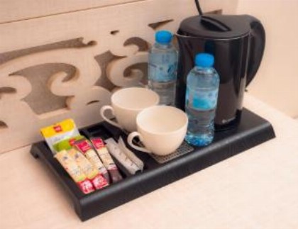 Areen Hotel - image 13