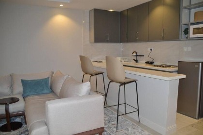 Elite Haven Apartments 105 - image 6