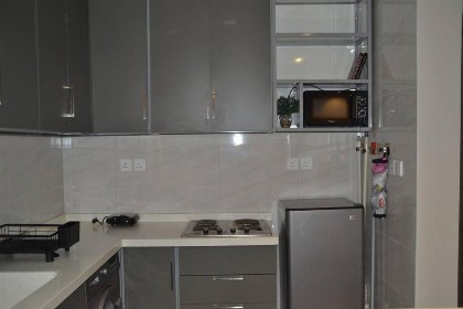 Elite Haven Apartments 110 - image 11